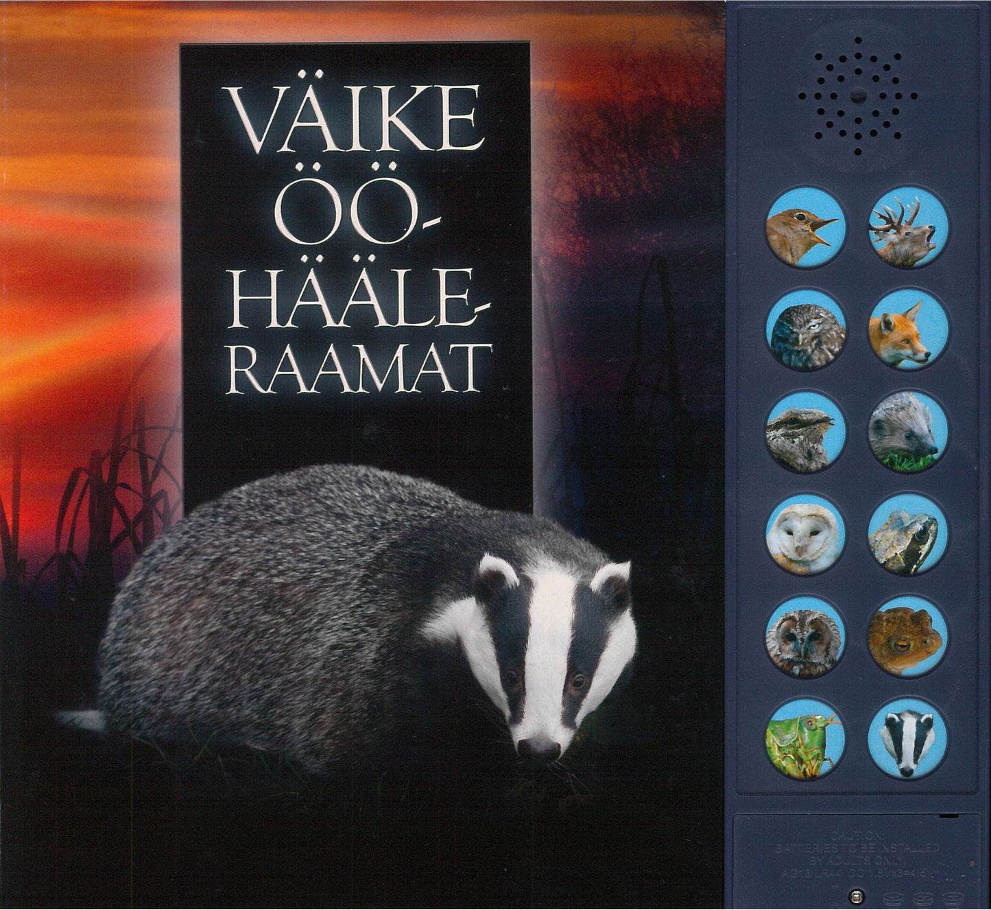 Väike ööhääleraamat