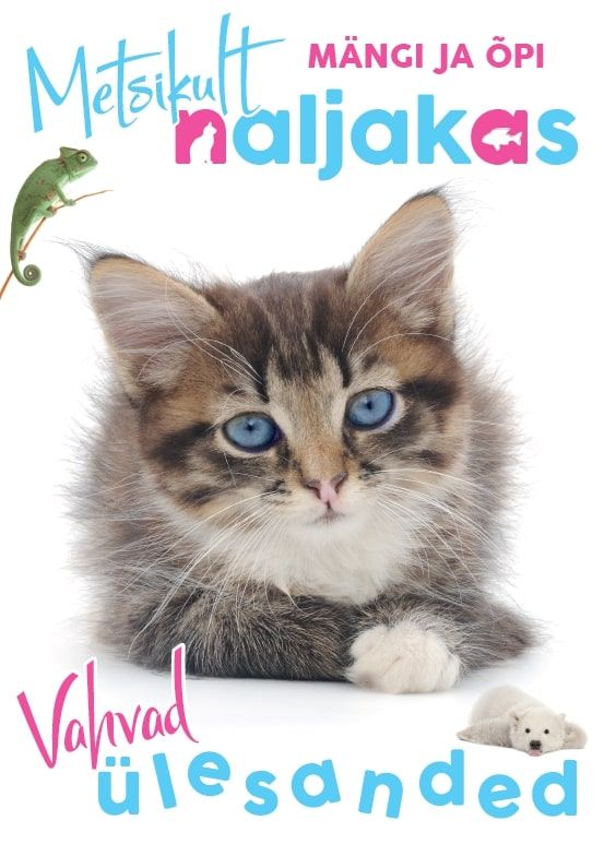 Metsikult naljakas. Kass