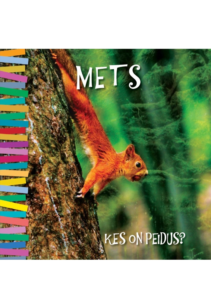 Kes on peidus? Mets