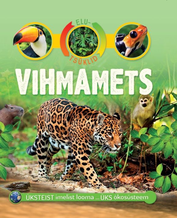 Elutsüklid. Vihmamets