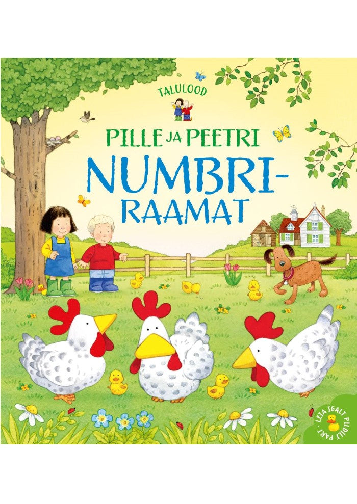 Pille ja Peetri numbriraamat