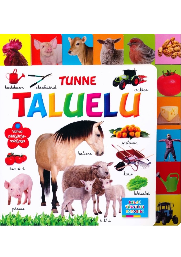 Tunne taluelu