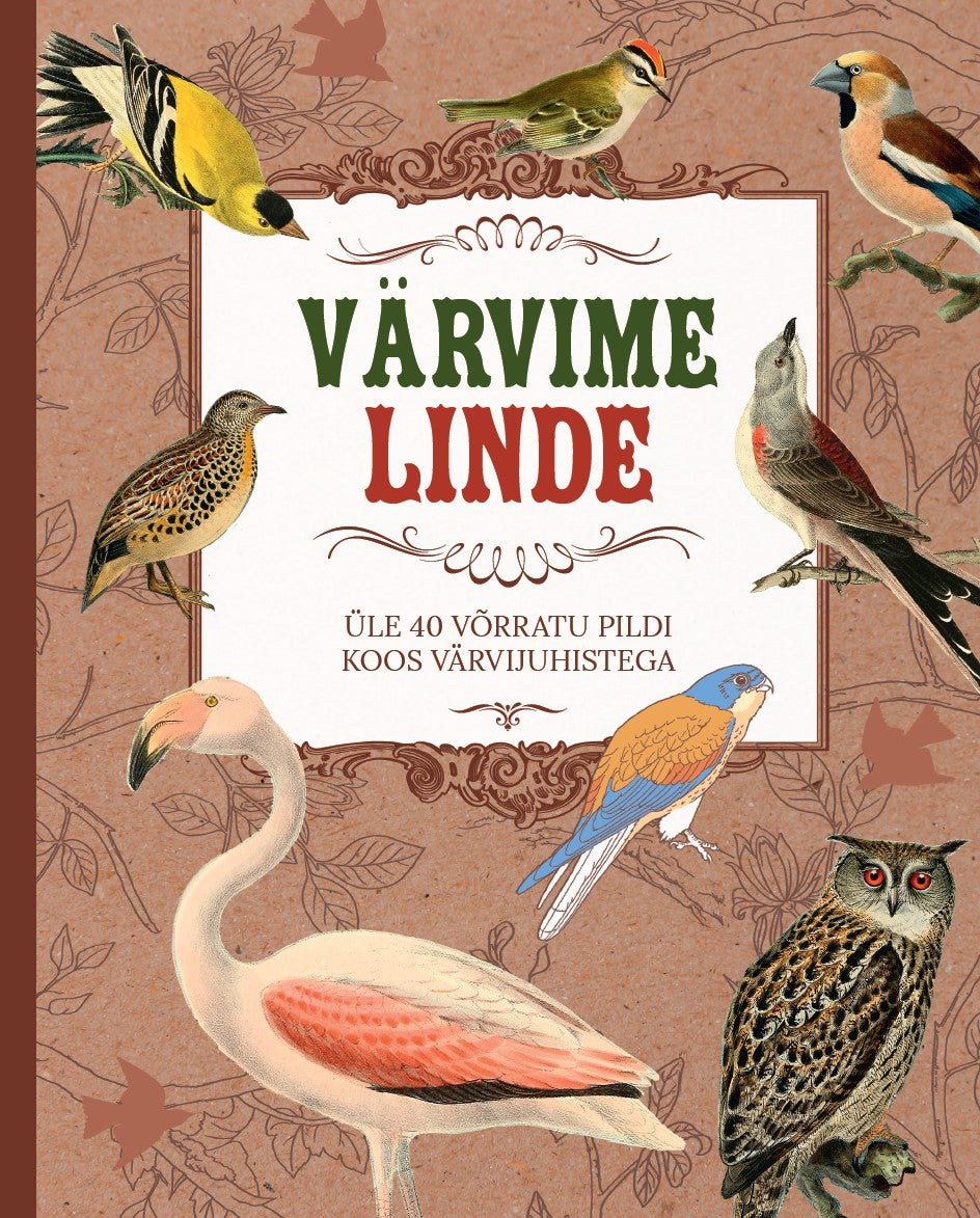 Värvime linde
