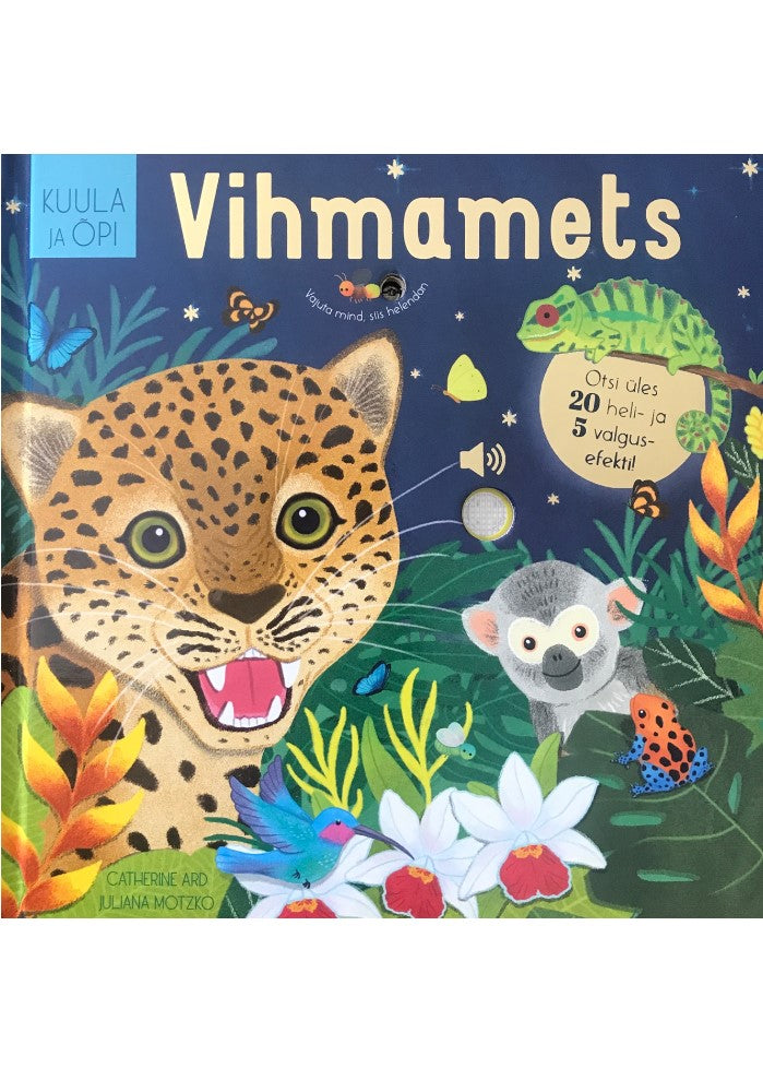 Vihmamets
