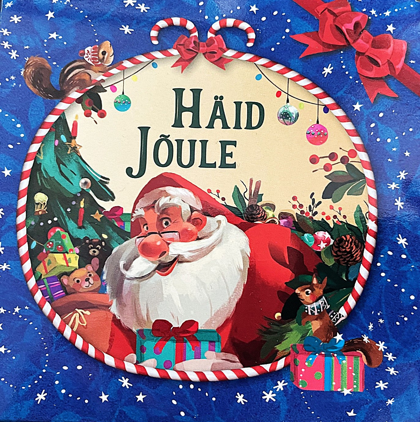 Häid jõule (sinine karp, 4 raamatut)