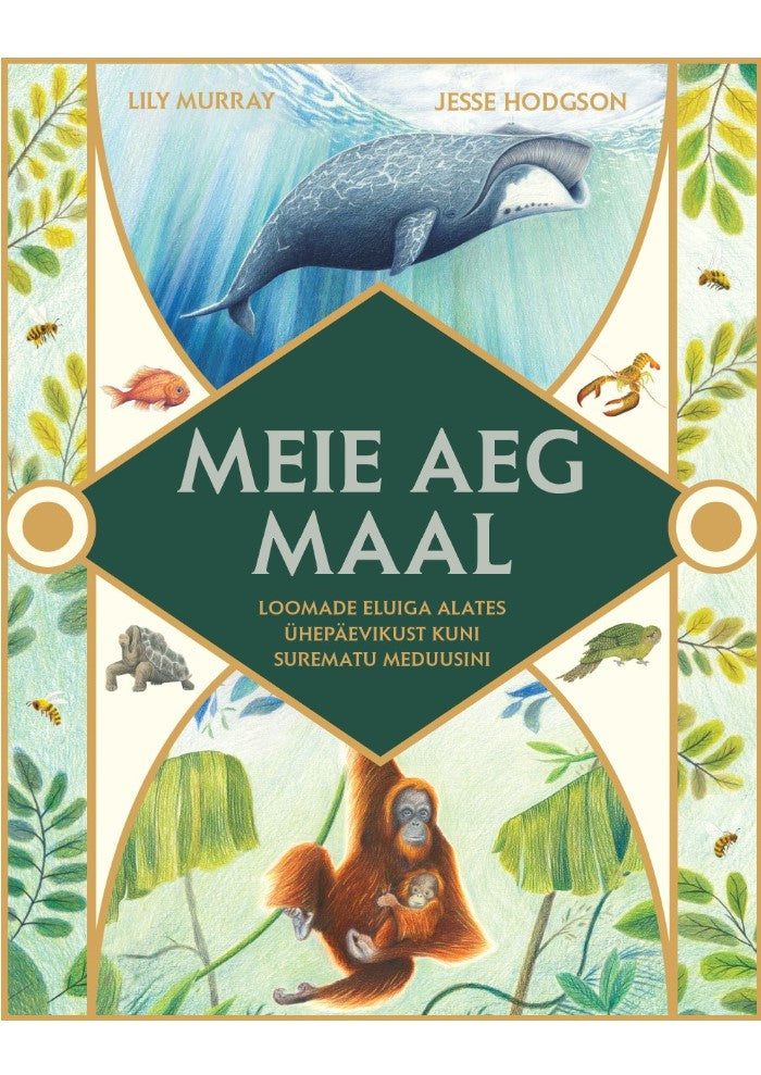 Meie aeg maal