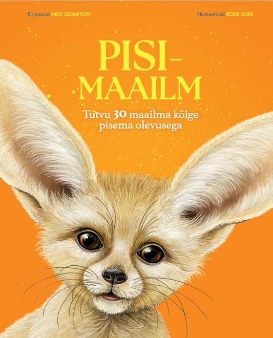Pisimaailm