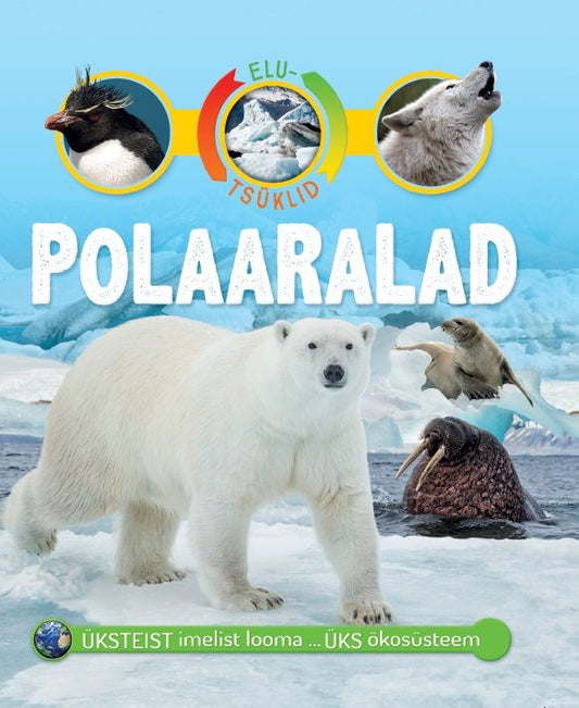 Elutsüklid. Polaaralad