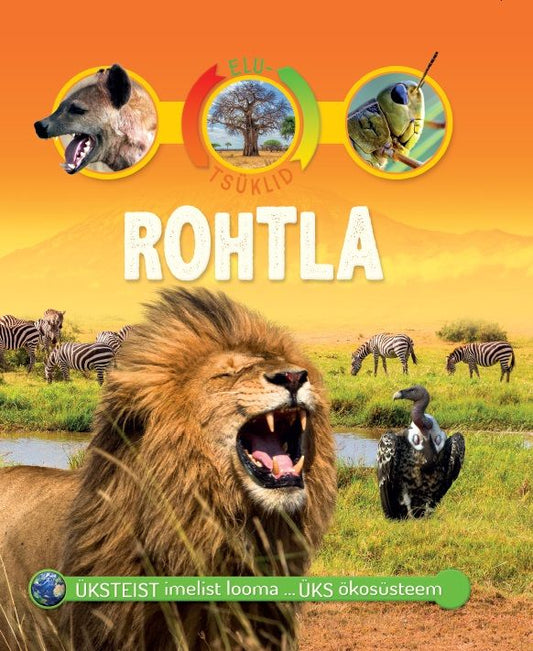 Elutsüklid. Rohtla