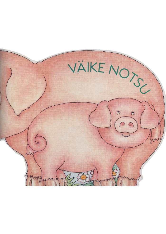 Väike notsu
