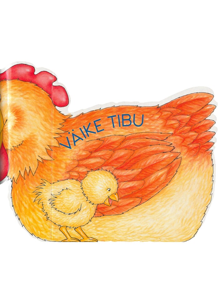 Väike tibu